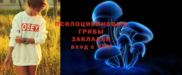 a pvp Богородск