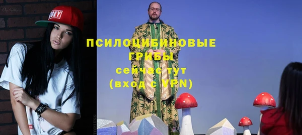 a pvp Богородск