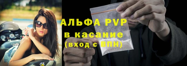 бошки Сясьстрой