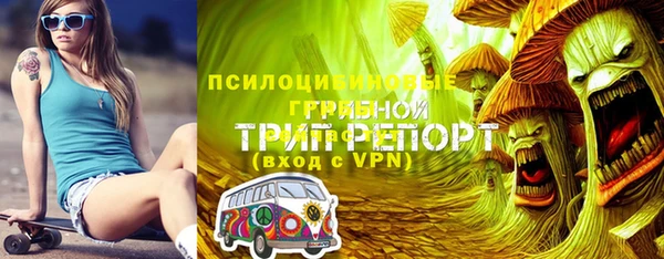 МДПВ Богородицк