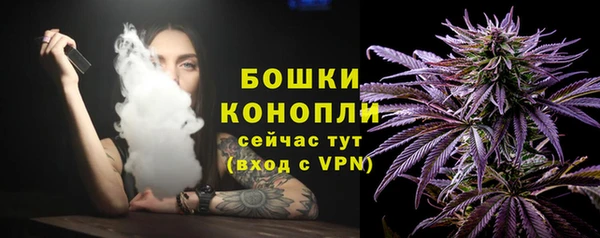 МДПВ Богородицк