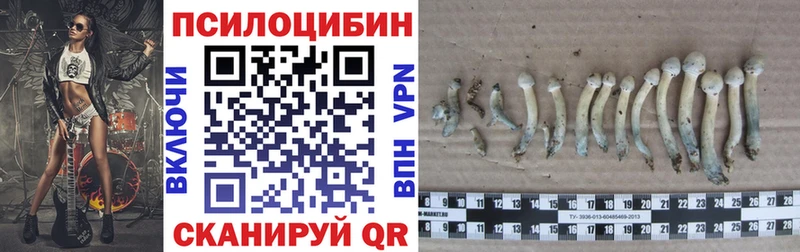 Купить где  Радужный  Галлюциногенные грибы прущие грибы 